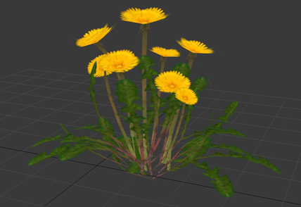 Example: Assembled Dandelion flowers from parts shown above