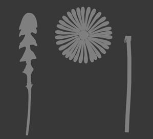 Example: High Poly parts needed to be made for Dandelion Flower